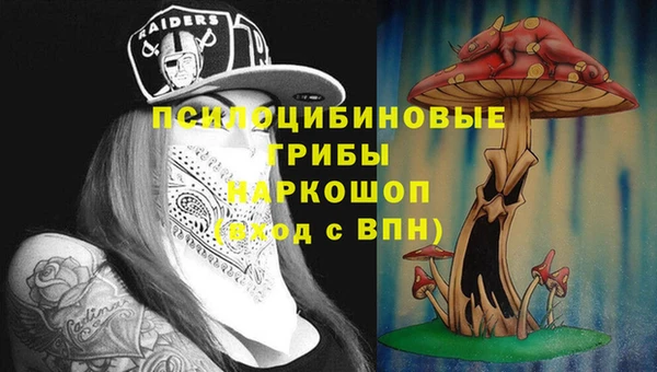 дмт Беломорск
