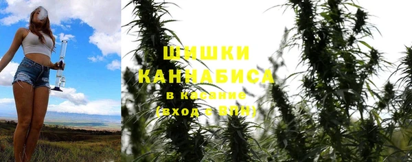 прущий лед Белокуриха